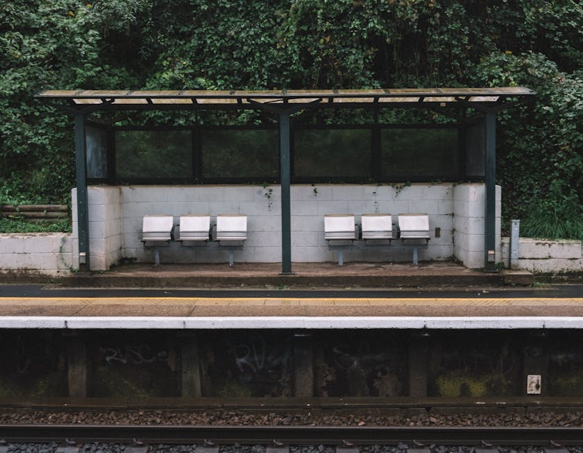 A view from an elevated walkway overlooking Abbey Wood station where a modern commuter train with a metallic silver exterior and blue accents is stationary on the tracks. The train's doors are closed,